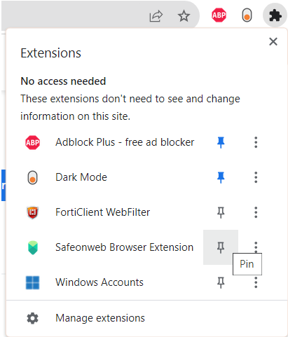 pin the extension for later use